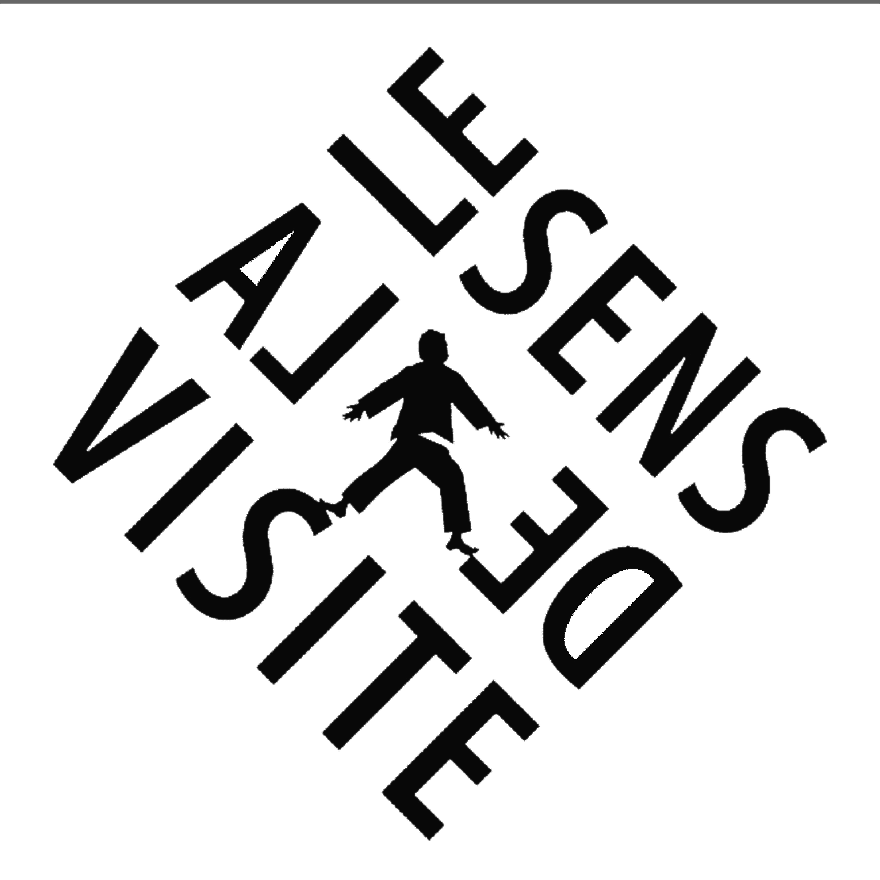 LE SENS DE LA VISITE